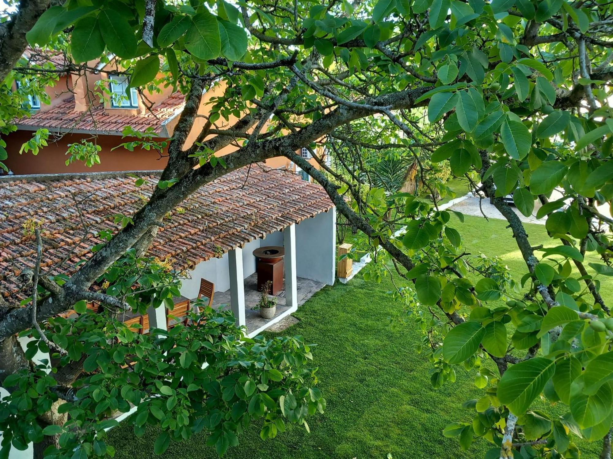 Villa In Sintra - Casa Da Penha Ferrim Dış mekan fotoğraf
