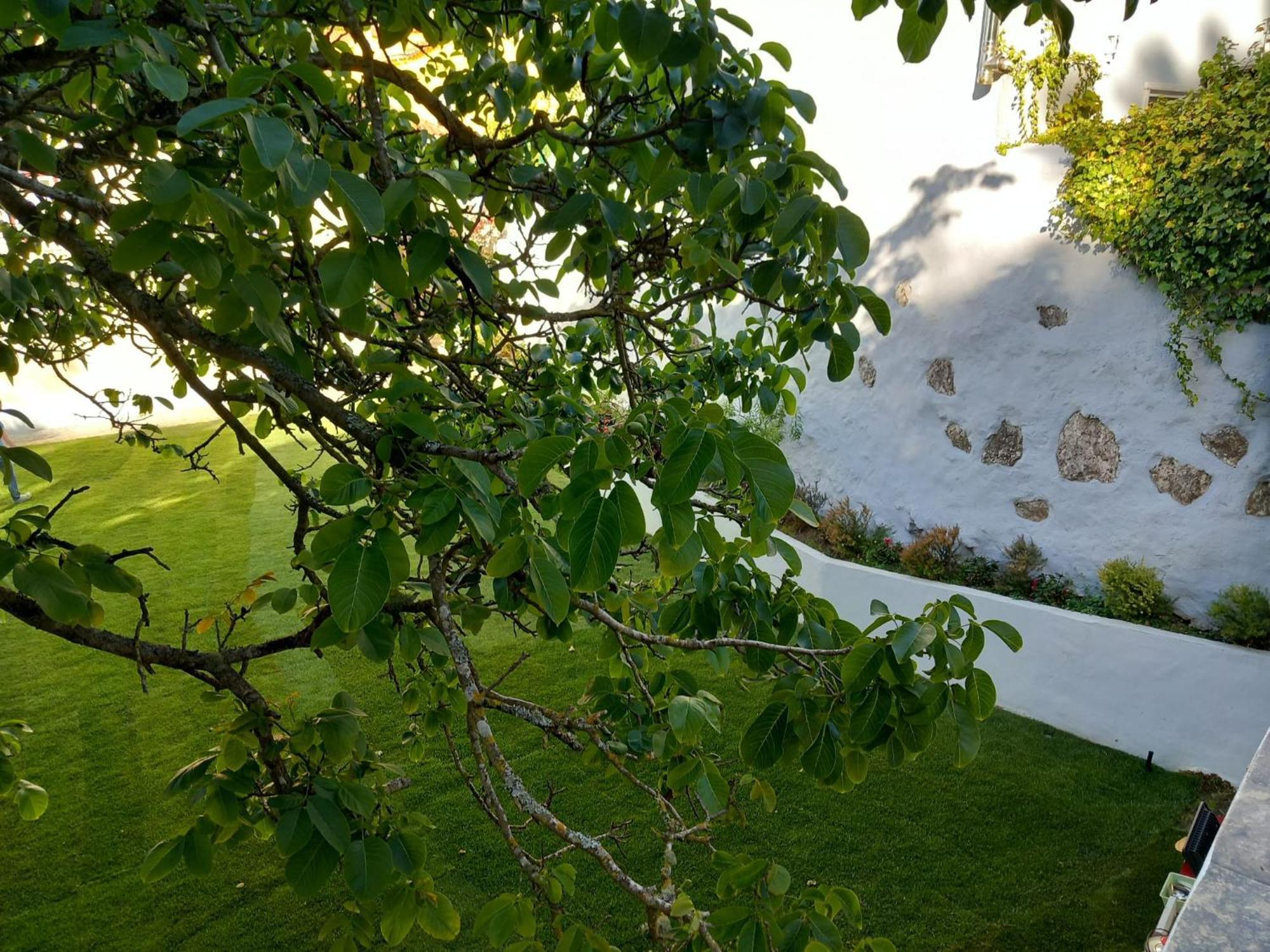 Villa In Sintra - Casa Da Penha Ferrim Dış mekan fotoğraf