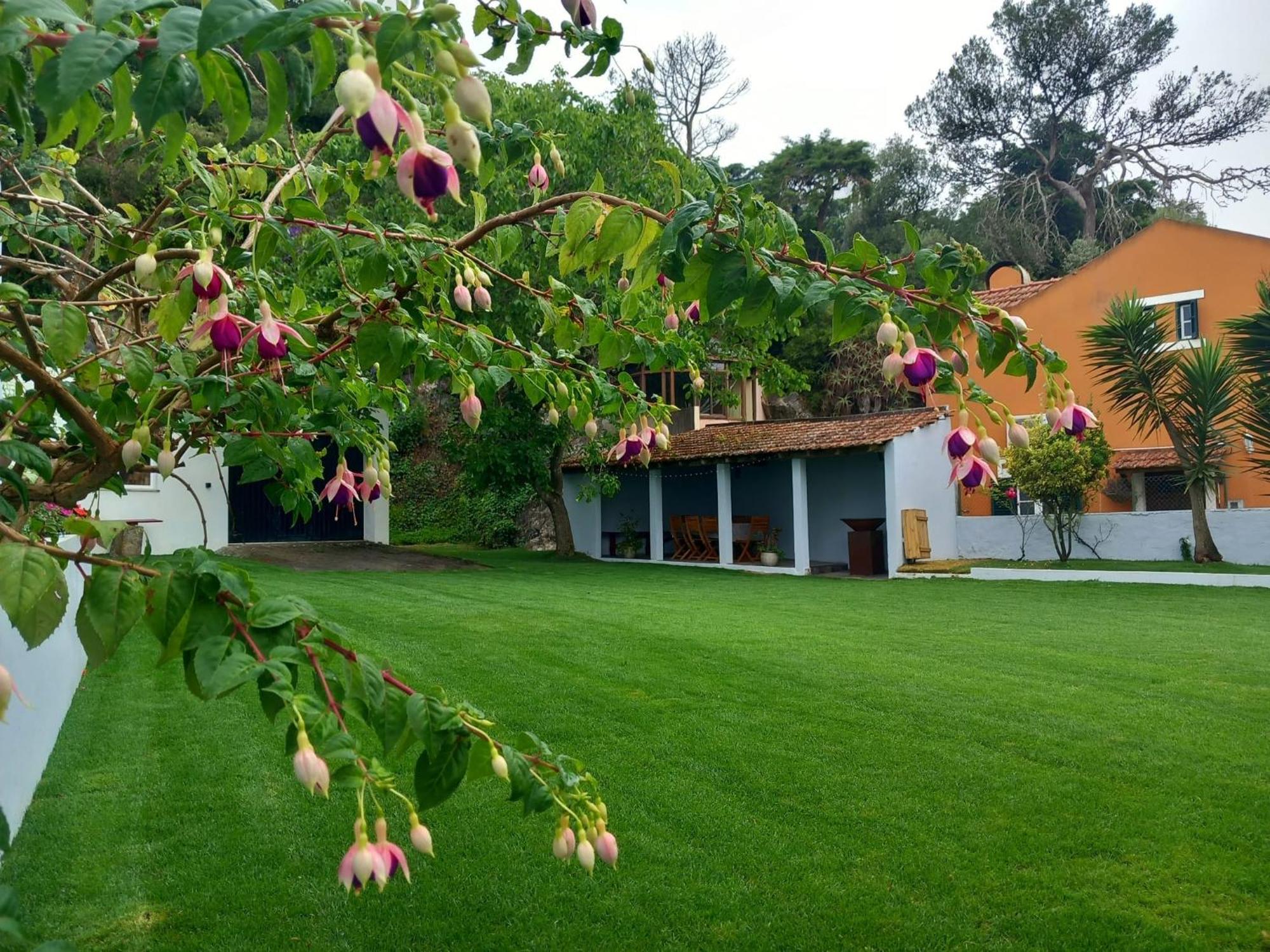 Villa In Sintra - Casa Da Penha Ferrim Dış mekan fotoğraf