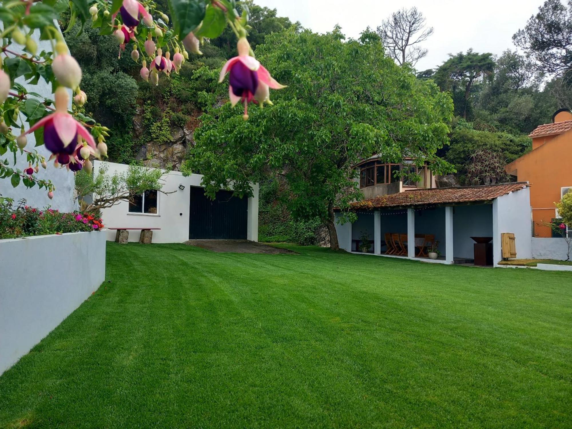 Villa In Sintra - Casa Da Penha Ferrim Dış mekan fotoğraf